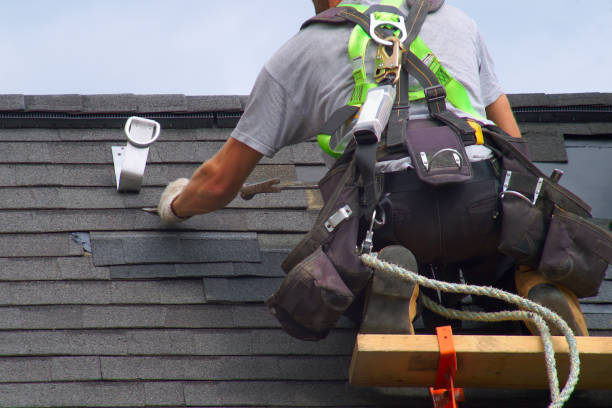 Best Roof Gutter Cleaning  in Iyanbito, NM
