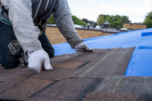 Roof Gutter Cleaning in Iyanbito, NM