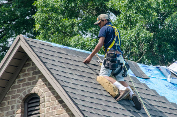 Best Roof Maintenance Services  in Iyanbito, NM